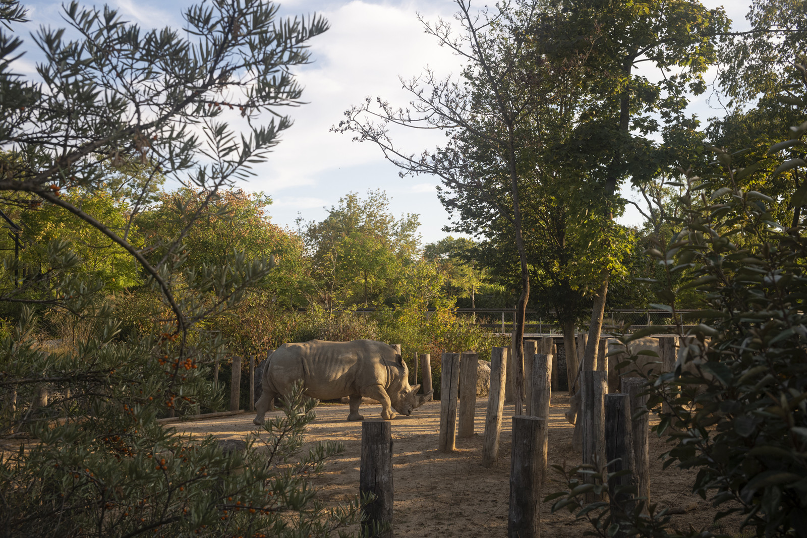 19-PARIS_Zoo ©Martin Argyroglo (28)-5fd74c1c388c8.jpeg